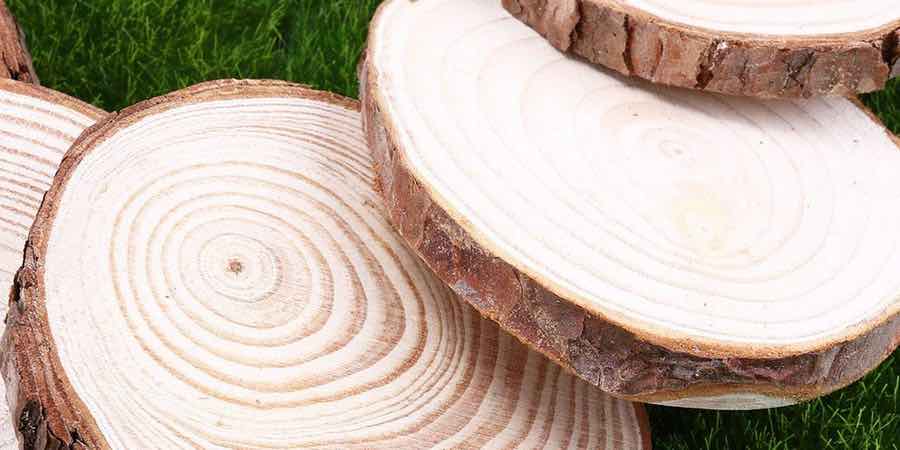 Maderas para pirograbado